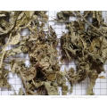 /msite/products/detail/productid/57663718/id/676485.html